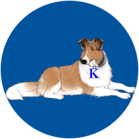 k-dawg image